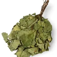 Веник для бани, дубовый