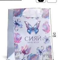 Пакет подарочный ламинированный, упаковка, &laquo;Сияй&raquo;, 9&times;12&times;6.5 см