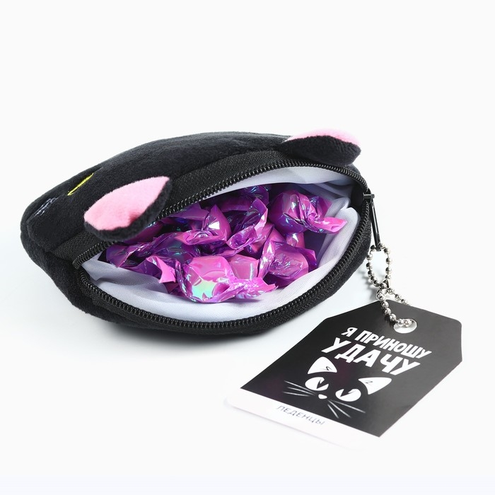 Леденцы «Приношу удачу» в кошельке, со вкусом винограда, 40 г. Леденцы «Приношу удачу» в кошельке, со вкусом винограда, 40 г.