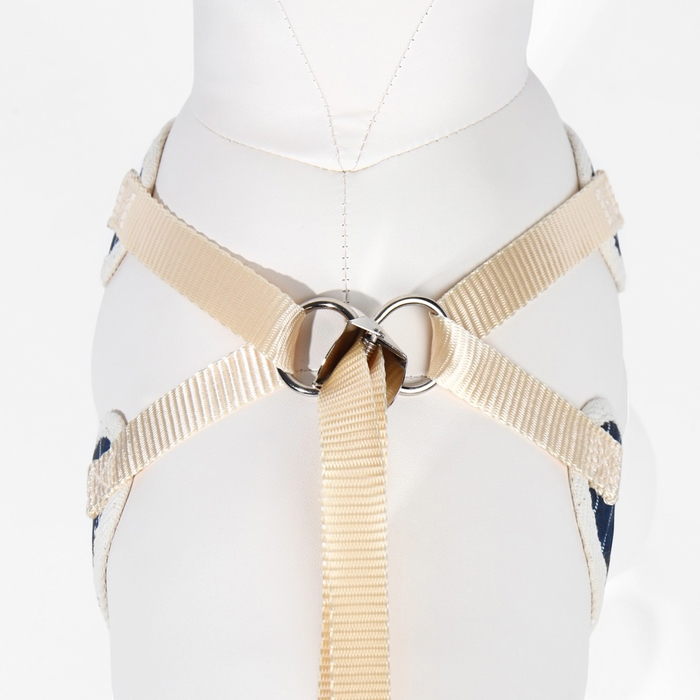 Комплект с мягкой шлейкой  Комплект с мягкой шлейкой "Якорь", размер L, поводок 120 х 1,5 см, ОГ 42-76 см, синий