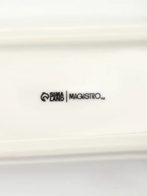 Набор для специй Magistro &laquo;Бланш&raquo;, 3 предмета на подставке: перечница, солонка, ёмкость для зубочисток, 14&times;5.5&times;7 см, фарфор, белый