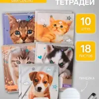 Комплект тетрадей из 10 штук, 18 листов в линию Calligrata "Домашние животные", обложка мелованный картон, ВД-лак, блок офсет, 5 видов по 2 штуки