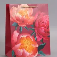 Пакет подарочный "Яркий акцент" ламинированный 26 х 12 х 32 см