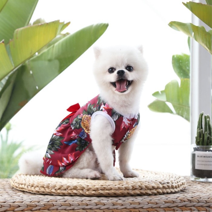 Платье для животных "Тропики», XS (ДС 20, ОГ 30 см), красное