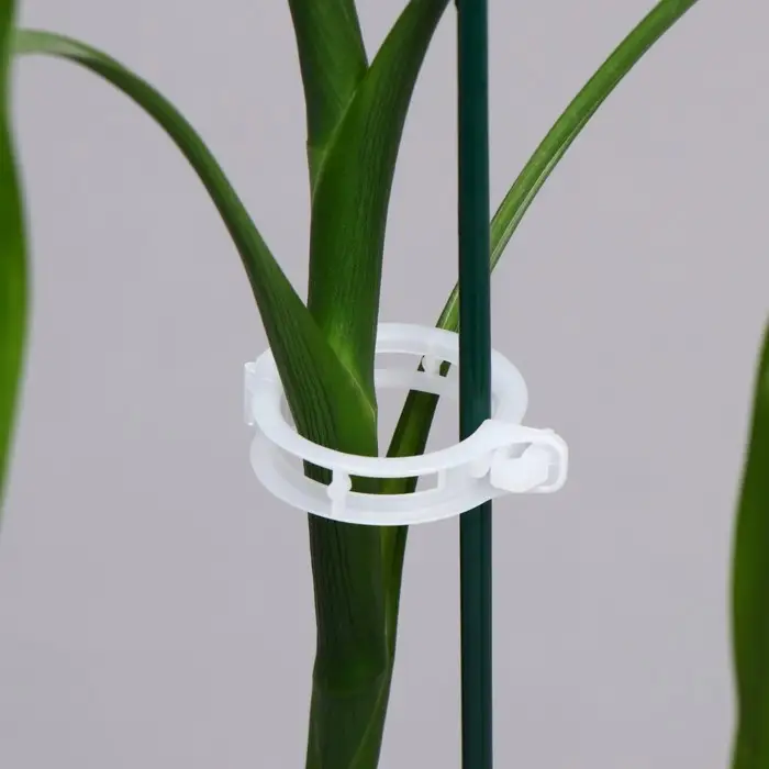 Клипса садовая, d=23 мм, набор 50 шт., Greengo