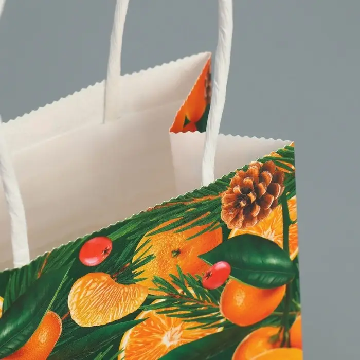 Пакет подарочный новогодний крафтовый «Мандариновое настроение», 15 х 10 х 6 см Пакет подарочный новогодний крафтовый «Мандариновое настроение», 15 х 10 х 6 см