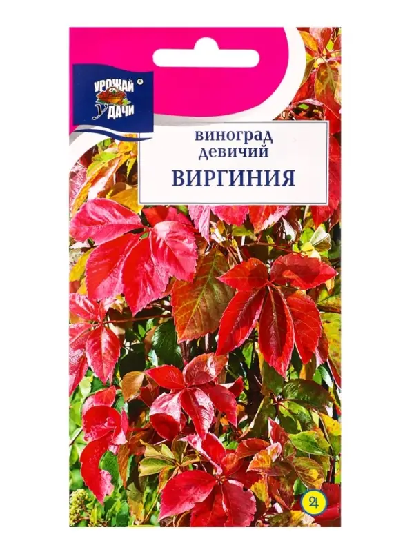 Семена Виноград девичий &laquo;Виргиния&raquo;, 0.3 г, &laquo;УРОЖАЙ УДАЧИ&raquo;