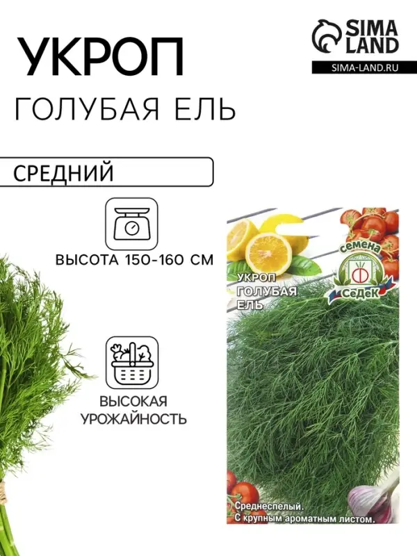 Семена Укроп &laquo;Голубая ель&raquo;, 2 г