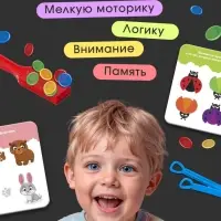 Развивающий набор &laquo;Свойства магнита&raquo;, магнитный жезл, фишки, пинцет, карточки