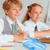 Пенал - футляр Calligrata &laquo;Школьный&raquo;, 80&times;205&times;38 мм, полупрозрачный. пластиковый, МИКС