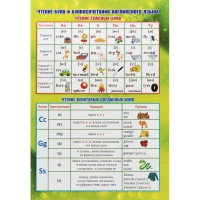 Плакат (наб)  Английский язык. Начальная школа А4 КОМ-120