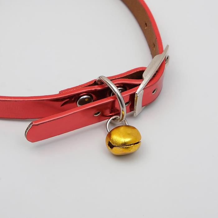 Ошейник для животных Ошейник для животных