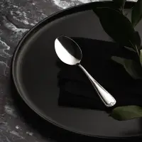 SATOSHI Эвора Ложка чайная 6 пр. на блистере