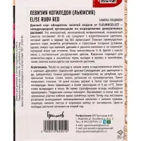 Семена цветов Левизия котиледон Elise Ruby Red, 3 шт. &laquo;Григорьев&raquo;