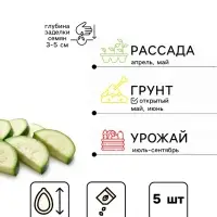 Семена Кабачок цуккини &laquo;Пони полосатый&raquo;, F1, &laquo;Мир высокого урожая - Агрофирма АЭЛИТА&raquo;, 5 шт.