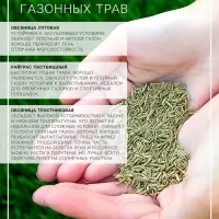 Газонная травосмесь &laquo;Гном&raquo;, 750 г