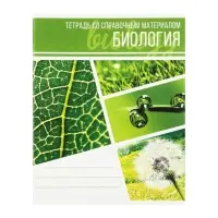 Набор предметных тетрадей Calligrata &laquo;Коллаж&raquo;, 10 предметов, 48 листов, со справочным материалом, обложка из мелованного картона