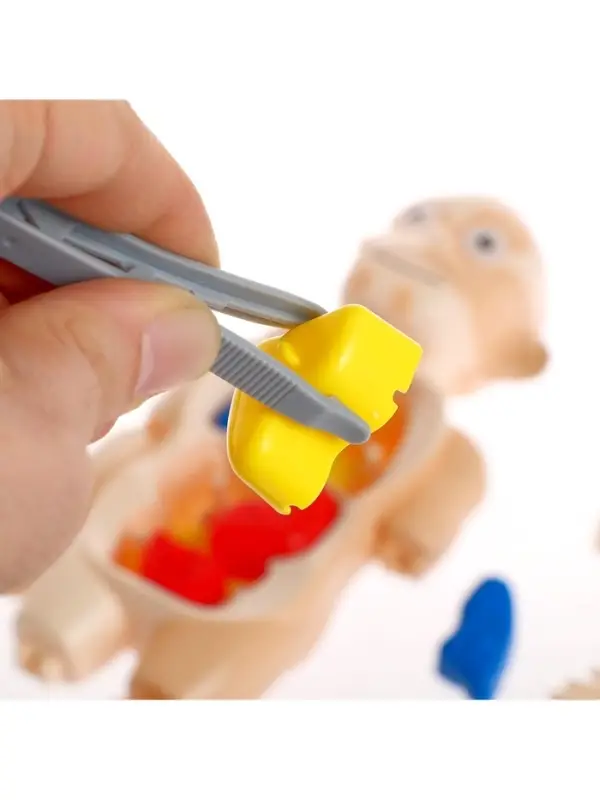 Набор для опытов &laquo;Мое удивительное тело&raquo;