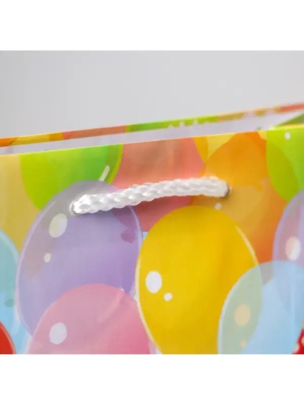 Пакет подарочный ламинированный, упаковка, «С Днём рождения», MS 18 х 23 х 8 см