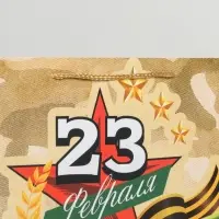 Пакет подарочный ламинированный, упаковка, &laquo;С 23 февраля&raquo;, L 28 х 38 х 9 см