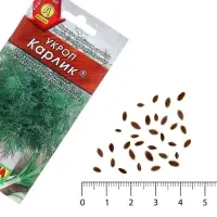 Семена Укроп Карлик  &reg; Ц/П 3г