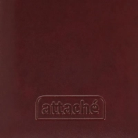 Еженедельник датированный 2026 АТТАСНЕ 64л, 90х160мм,карм.верт,Каньон бордо