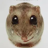 Кружка керамическая &laquo;Поплакала, но все сделала&raquo;, 320 мл