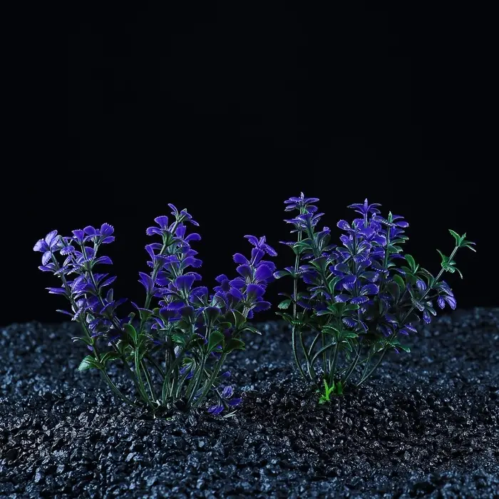 Набор растений для аквариума и террариума - 2 шт., 10 см