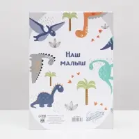 Папка для свидетельства о рождении, А5 &laquo;Динозаврики&raquo;