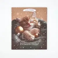 Набор пакетов крафтовых &laquo;Новогоднее настроение&raquo;, 5 шт., 23&times;27&times;11.5 см