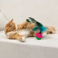 VETTA Игрушка для домашних животных, пластмасса, перья, 5,5х8 см