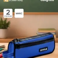 Пенал школьный на молнии Calligrata &laquo;Классика&raquo;, 2 отделения, МИКС