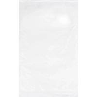 Пакет фасовочный ПНД БИО 24х37 см, 10 мкм 1000 шт/уп