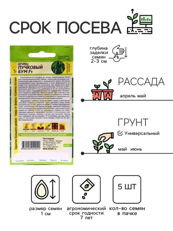 Семена Огурец "Пучковый бум" F1, раннеспелый, партенокарпический, цп, 5 шт