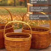 Корзина плетёная для хранения Wif, с ручкой, лоза, коричневая, набор 3 шт.