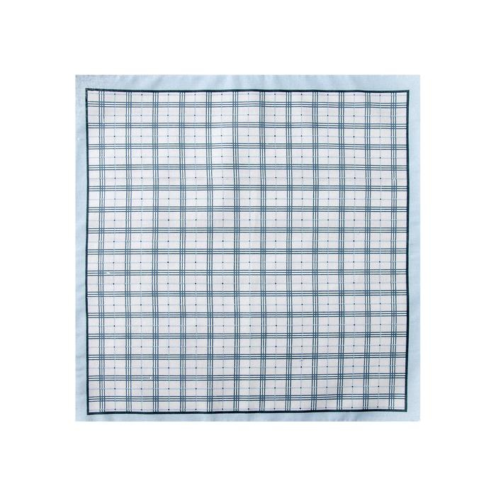 Платки носовые мужские Этель  Платки носовые мужские Этель "Серджио" 30*30 см,(набор 12 шт,) цв.серый, рис. МИКС, 100% хл