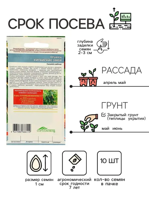 Семена Огурец Семена Огурец "Китайский Змей", среднепоздний, пчелоопыляемый, 10 шт