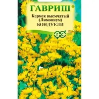 Семена цветов Кермек (Лимониум) выемчатый Бондуели 0.05 г