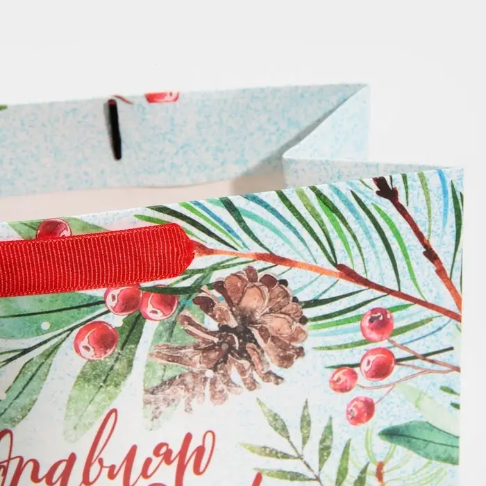 Пакет подарочный новогодний ламинированный &laquo;Магия зимы&raquo;, MS 18 х 23 х 10 см