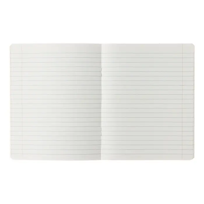 Тетрадь 24 листа в линейку Calligrata &laquo;Однотонная Школьная. Эконом&raquo;, обложка мелованная бумага, серые листы, МИКС