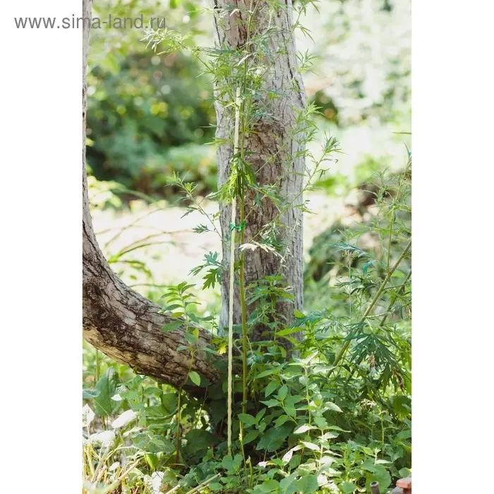 Колышек для подвязки растений, h=100 см, d=8 мм, стеклопластик, Greengo Колышек для подвязки растений, h=100 см, d=8 мм, стеклопластик, Greengo