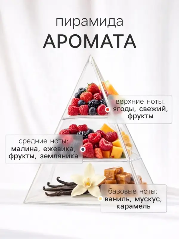 Диффузор ароматический с палочками Nero Vega, 50 мл