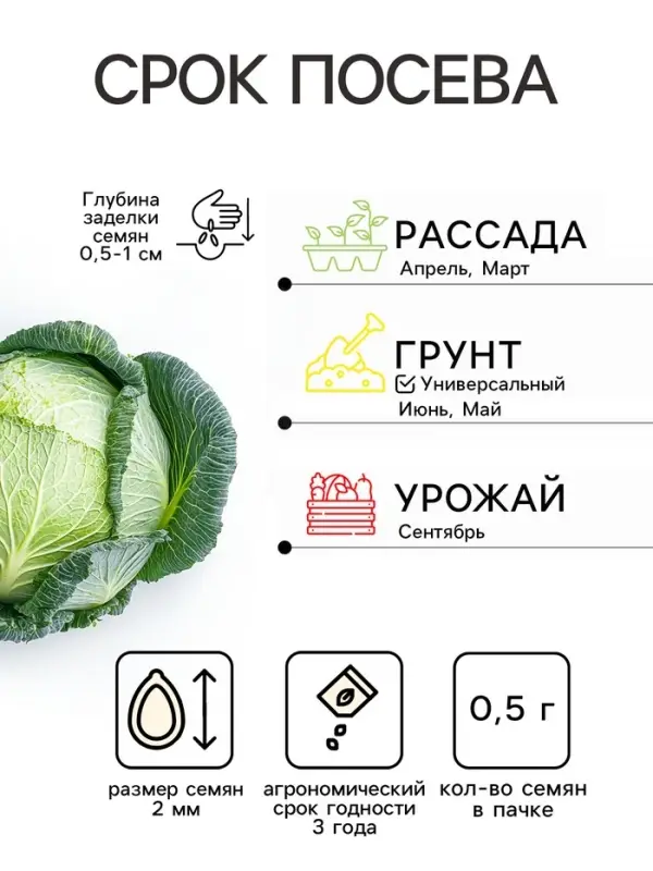 Семена Капуста белокочанная &laquo;Слава 1305 Лидер&raquo;, среднеспелая, 0.5 г, &laquo;Аэлита&raquo;