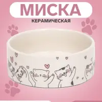Миска керамическая &laquo;Любовь и кошки&raquo; 300 мл - 11.5&times;11.5&times;5 см, белая