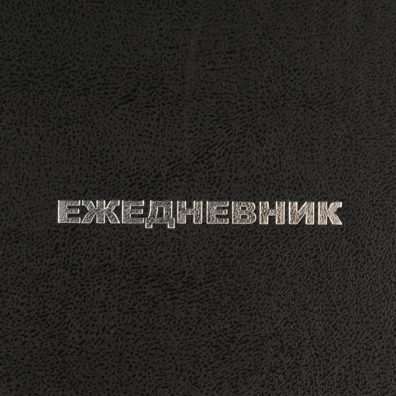 Ежедневник недатированный ,бумвинил,черный,А6,105х140мм,128л