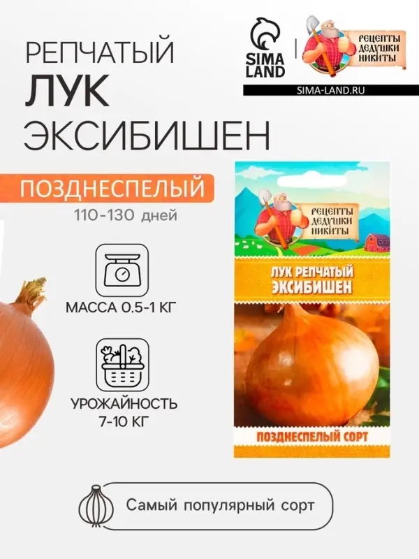 Семена Лук репчатый  Семена Лук репчатый "Эксибишен", 0,2 г