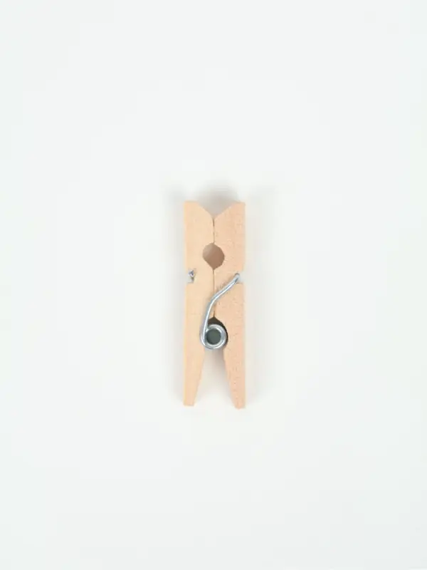 Прищепки для декора, набор 40 шт., 2.5&times;0.8 см