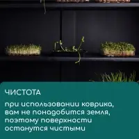 Коврик джутовый для выращивания микрозелени, 10&times;15 см, толщина 1 см, набор 5 шт.