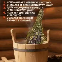 Веник для бани и сауны &laquo;Травяной коктейль&raquo;, 45 (&plusmn;5) см, донник, мята, шалфей, душица, полынь, пижма