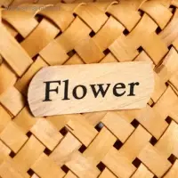 Корзина плетёная для хранения, 17&times;13&times;9.5 см, ручка h=14 см, секвойя